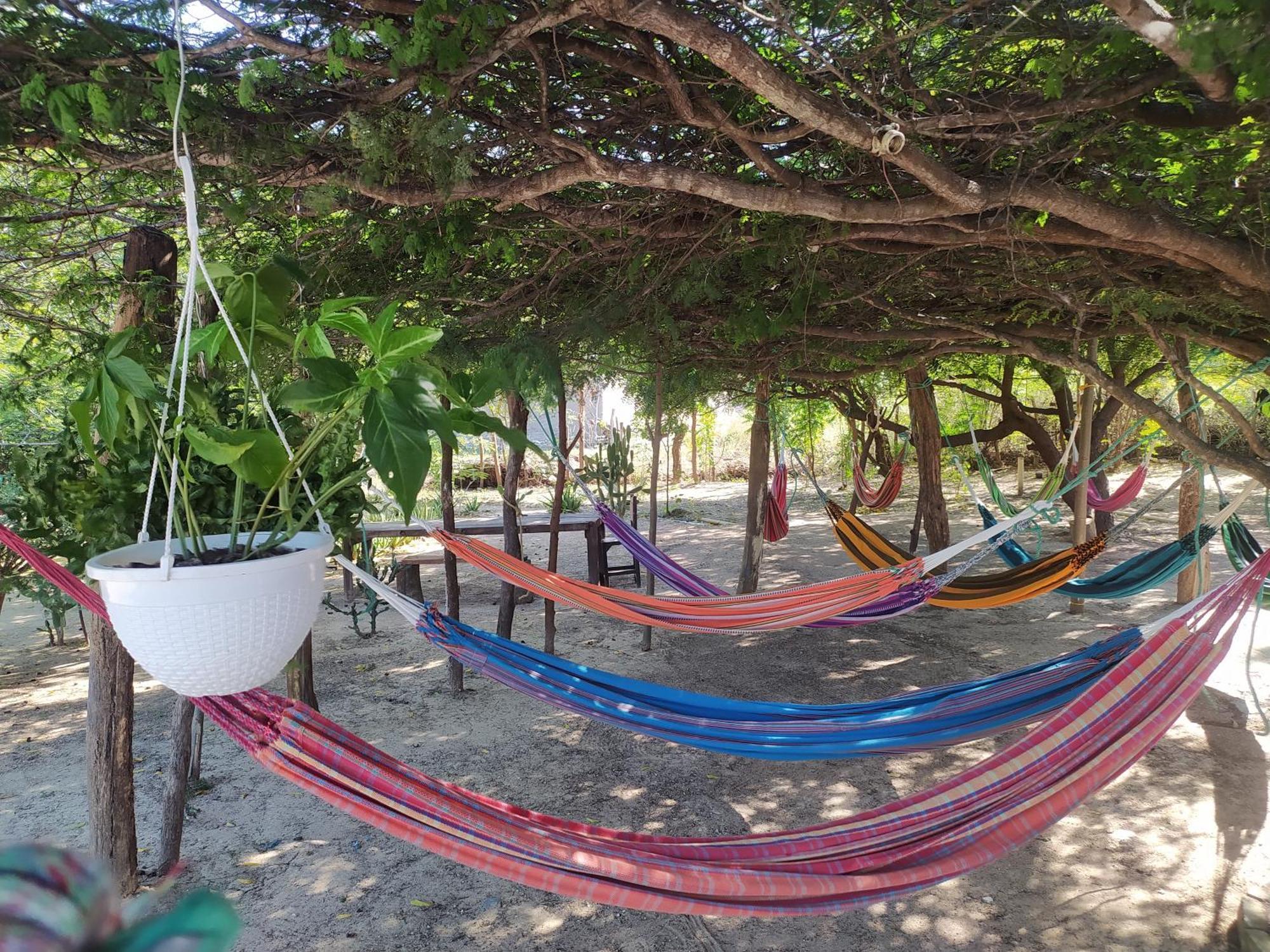Hotel Flamencamarones Luaran gambar